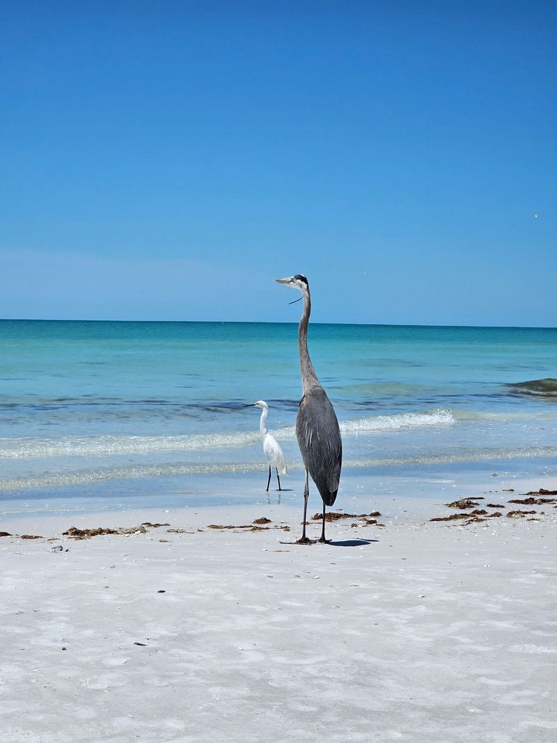 Wildlife Viewing and Birding Hotspots