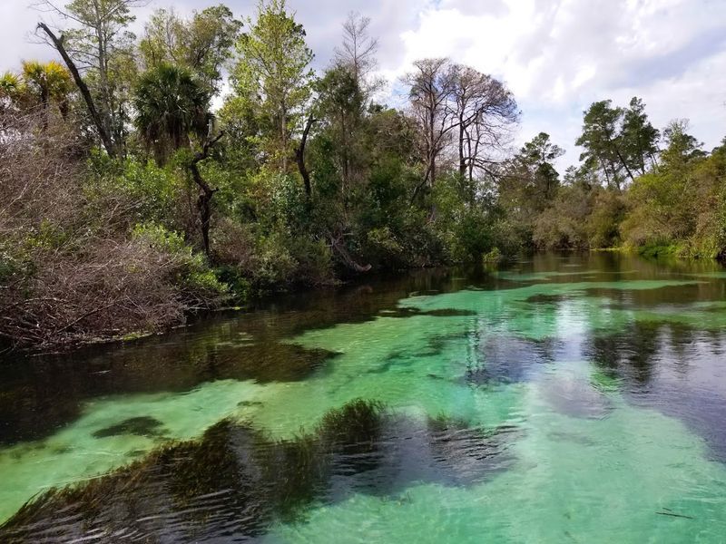 Weeki Wachee Springs State Park