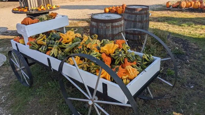 Dahlia Acres Farms &mdash; Hudsonville