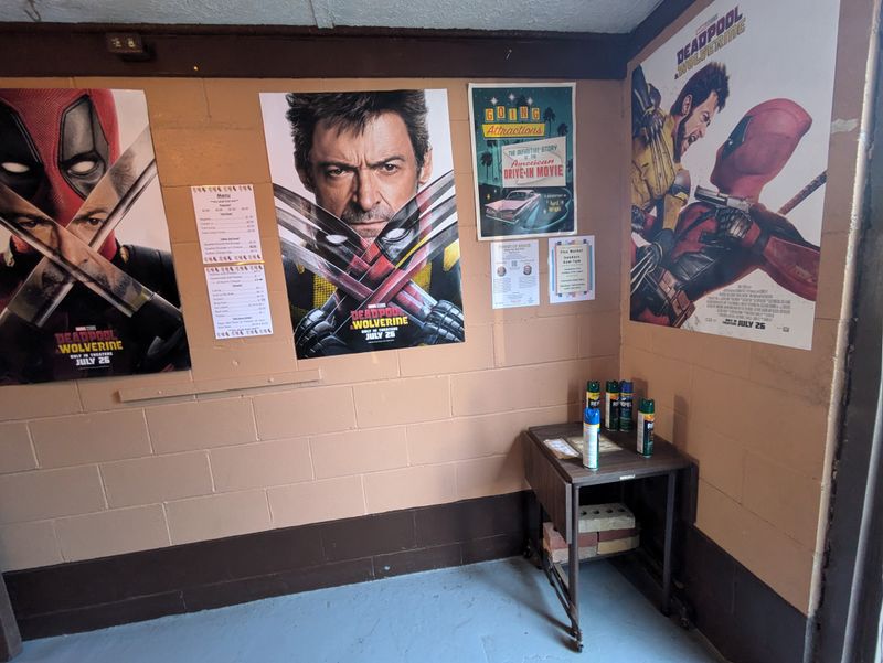 Hollywood Hits Under the Stars