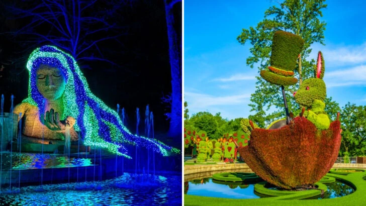 From flowers to forests: Why this botanical garden is a must-see escape