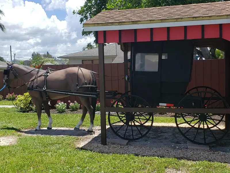 The Broader Yoder's Village Experience