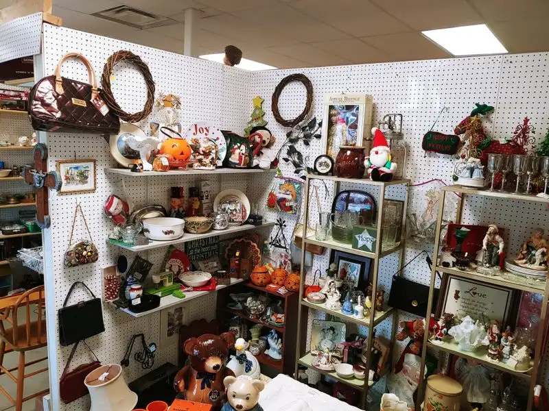 Collectibles Corner: Toys, Books, And Records