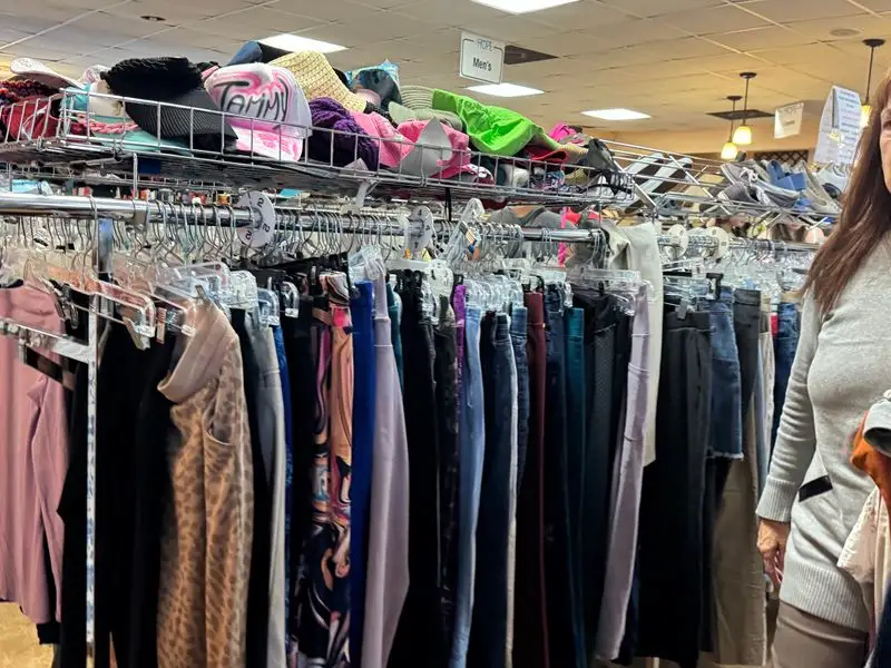 Seasonal Sections That Rotate Fast