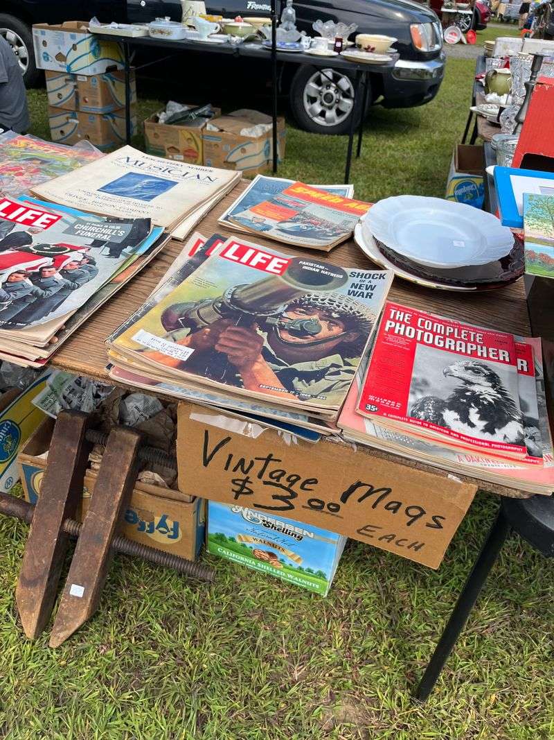 Books and Vinyl Records