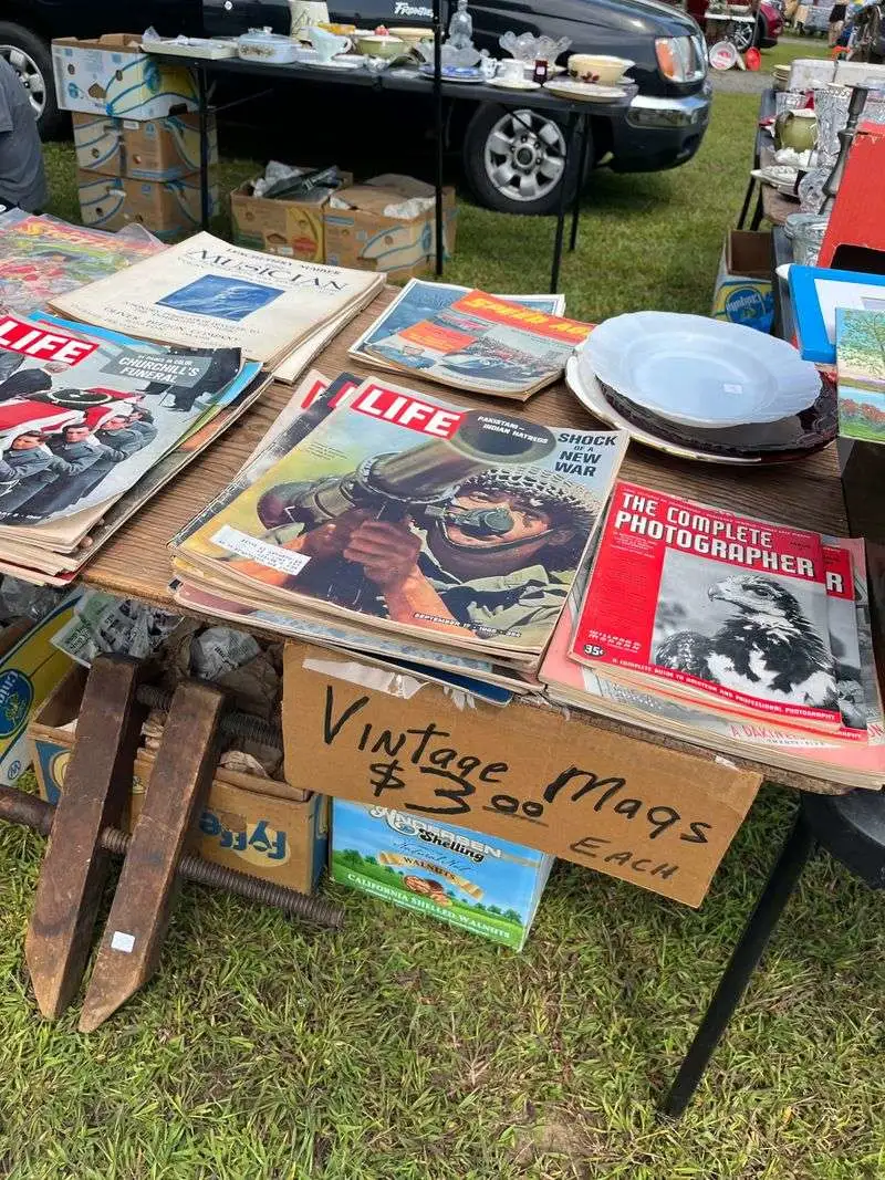 Books and Vinyl Records