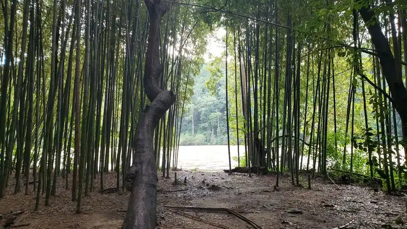 East Palisades Trail