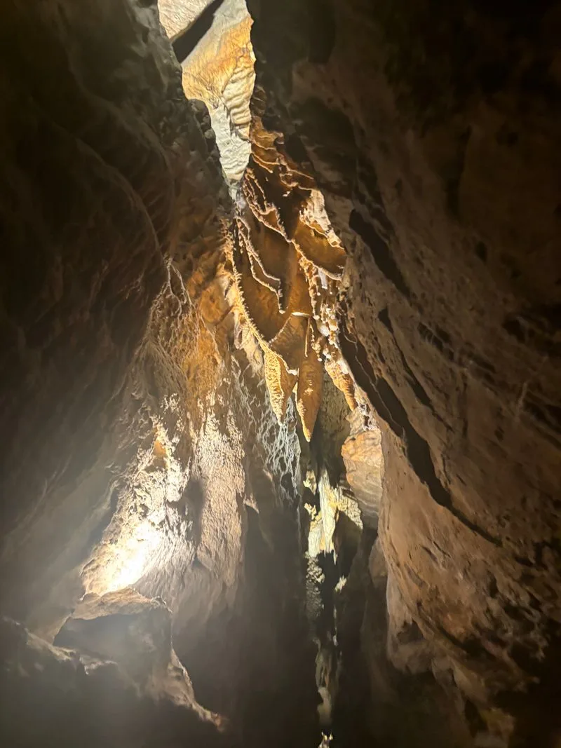 The Elevator Descent