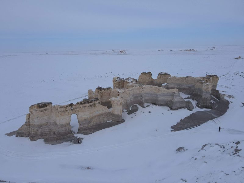 Fossils and the Cretaceous Story