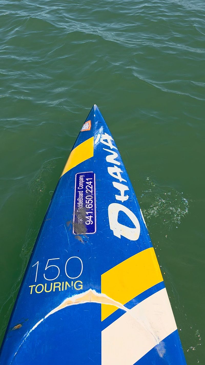 Lido Key Mangrove Tunnels &mdash; Sarasota, FL