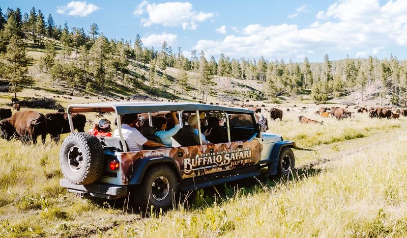 Expert Local Guides Who Bring the Park to Life