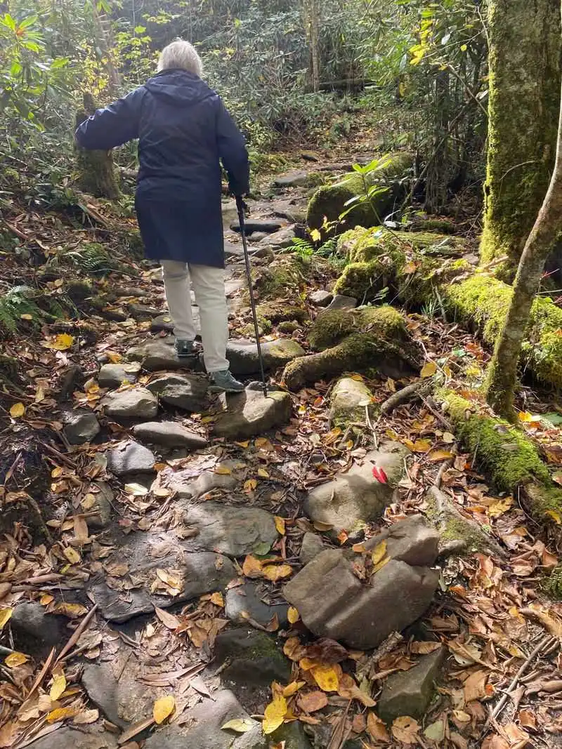 Trail layout: the figure eight loop