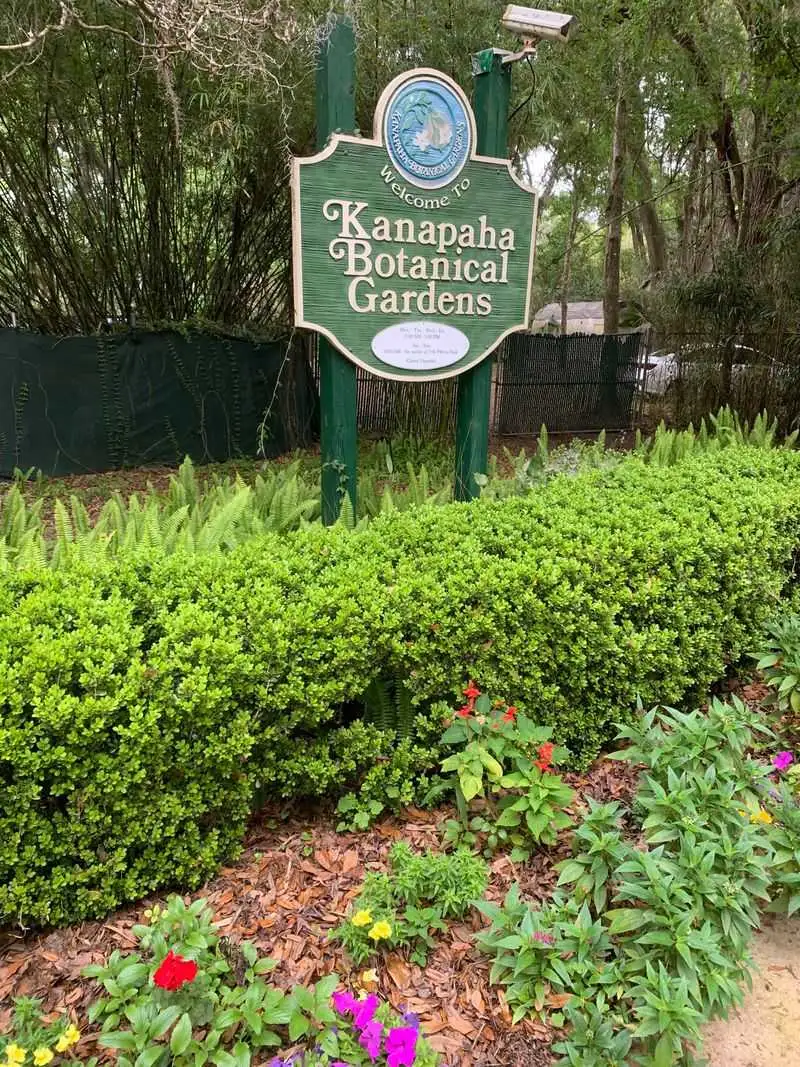 Herb and Butterfly Haven