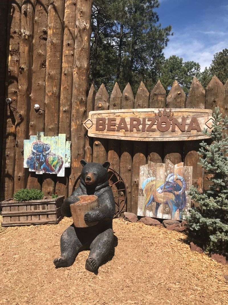 Educational Programs