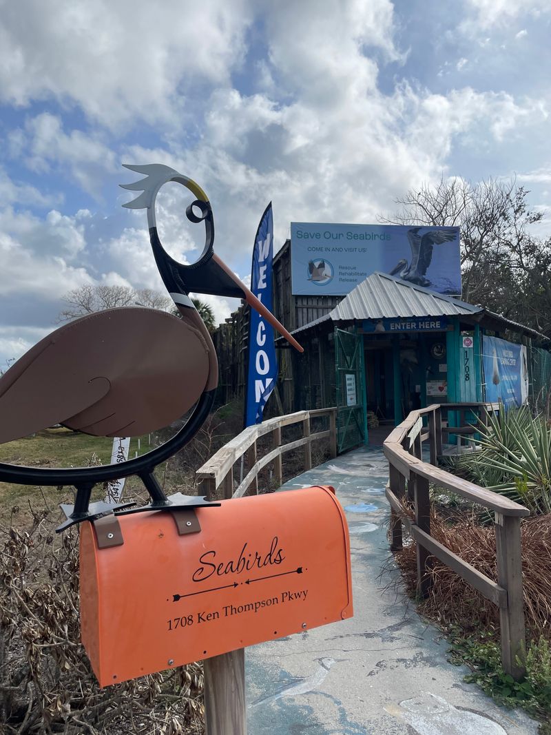 Bird Hospital and Rehabilitation