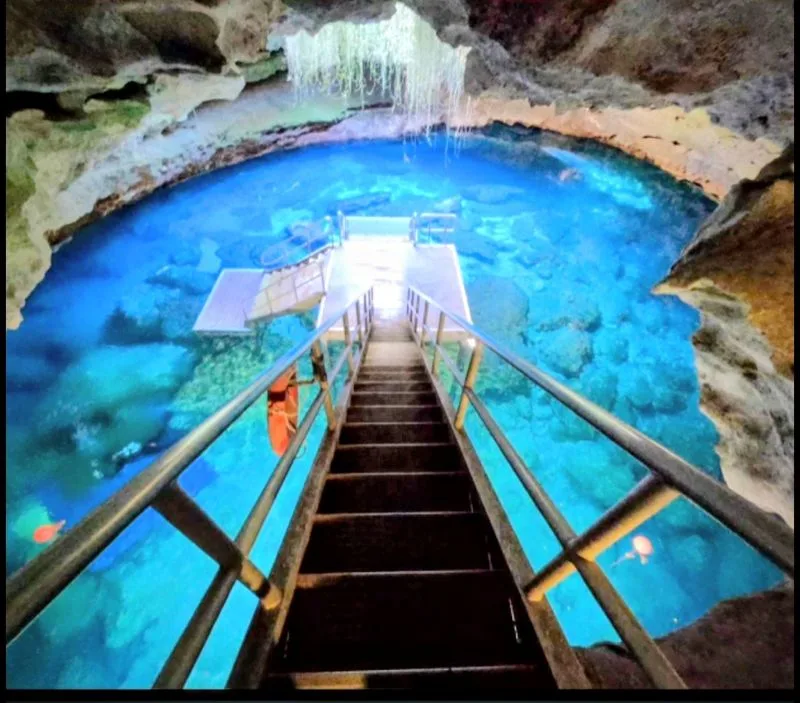 Devil's Den Prehistoric Spring