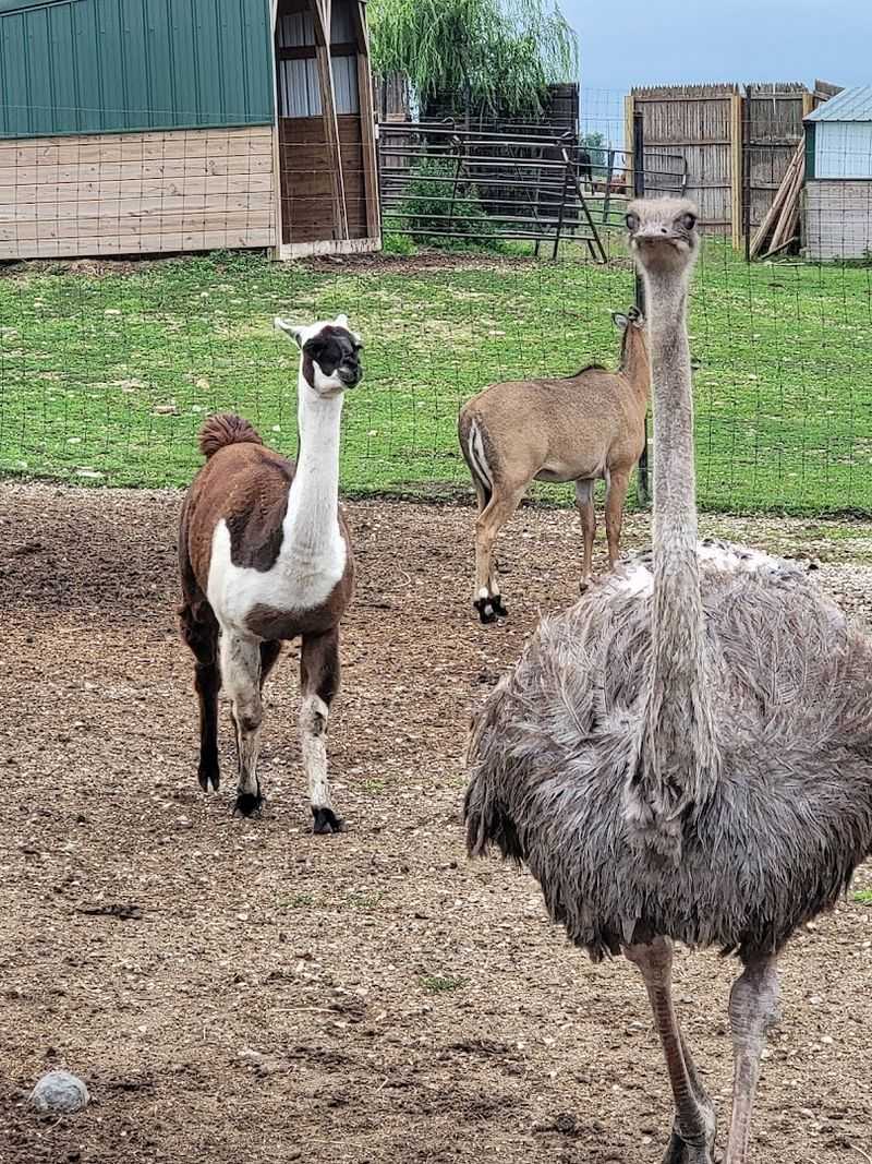 Family Fun and Adventure