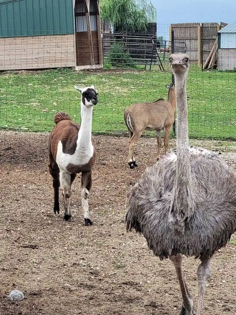 Family Fun and Adventure