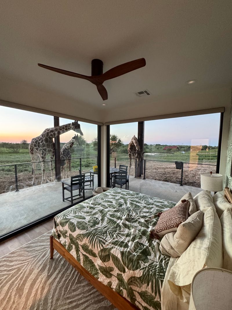 The Giraffe Safari Villa