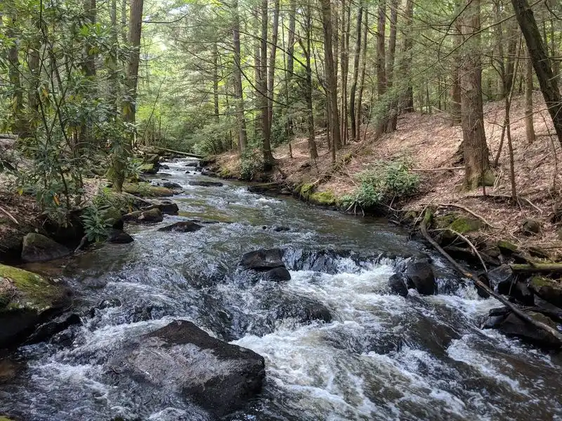 The Switchback Railroad
