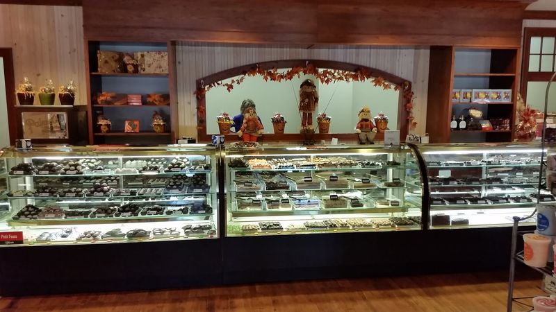 Warm and Inviting Atmosphere