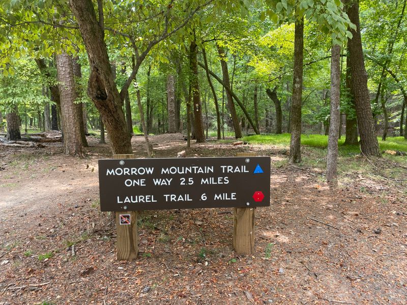 Morrow Mountain State Park Overlook