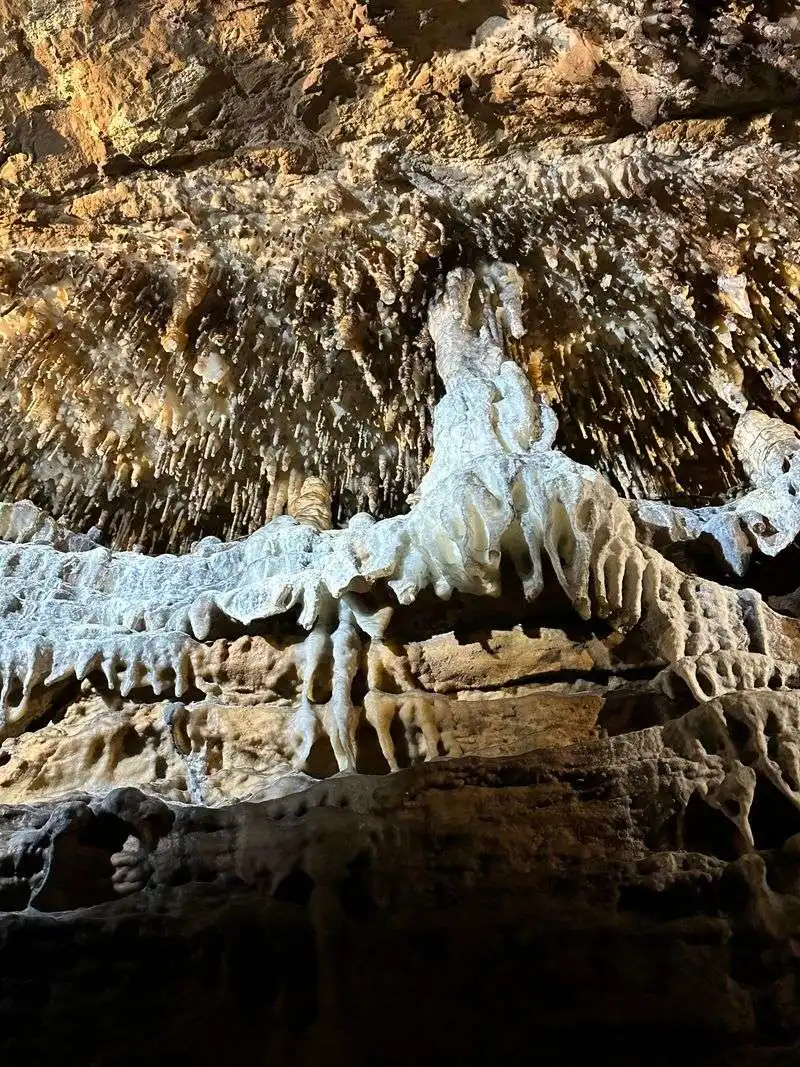 Specialty Tours: Lantern and Beyond