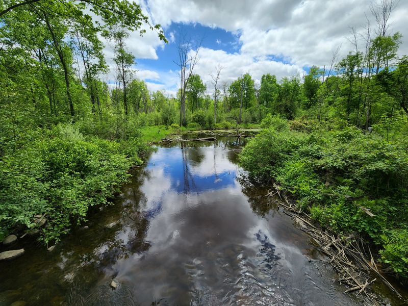 The Cass River Crossing