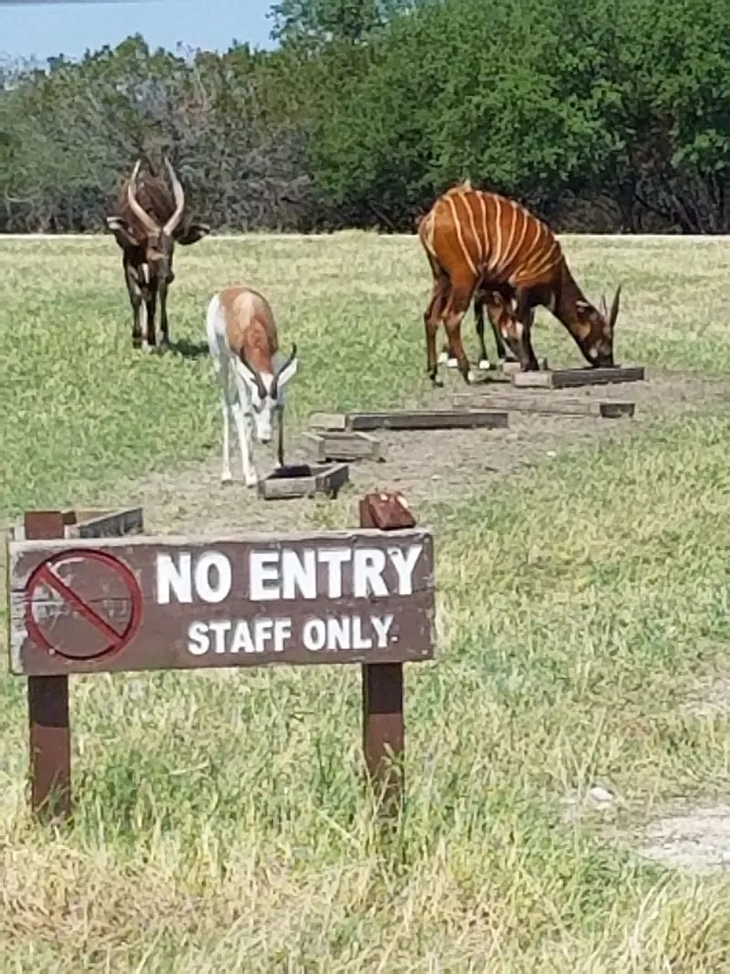 Conservation at the Core