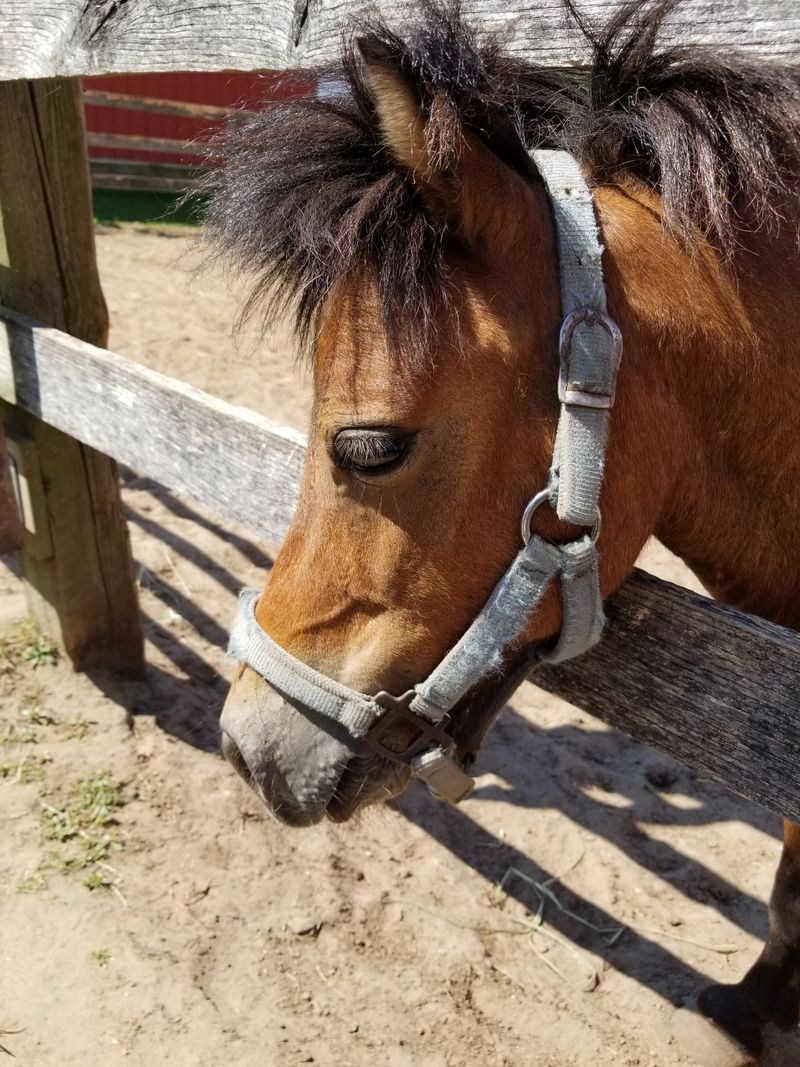 A Family-Friendly Escape