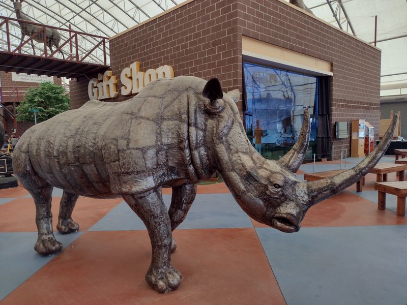 Visitor Experience and Education