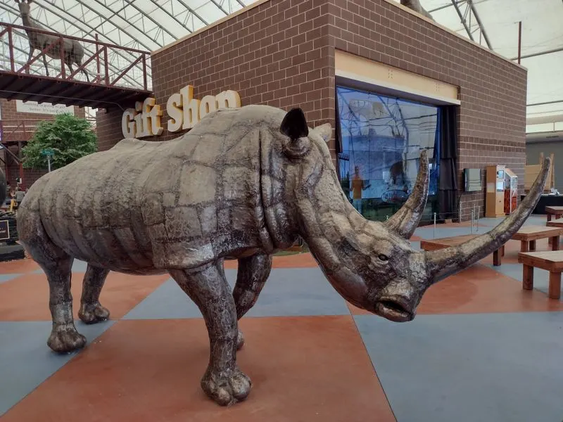 Visitor Experience and Education