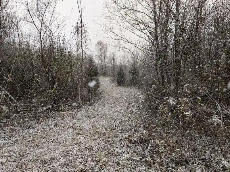 Spooky Nature: Creek Trails and Dusk Birdsong