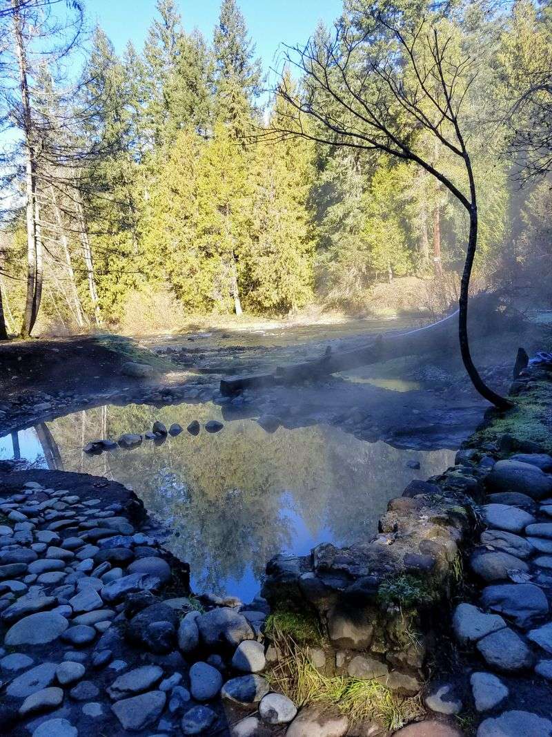 McCredie Hot Springs