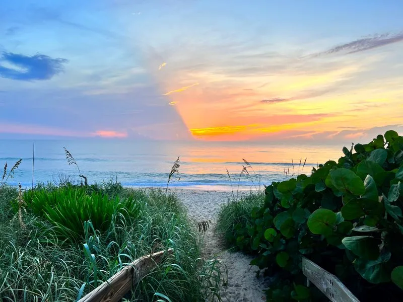 Interpretive Trails & Observation Decks