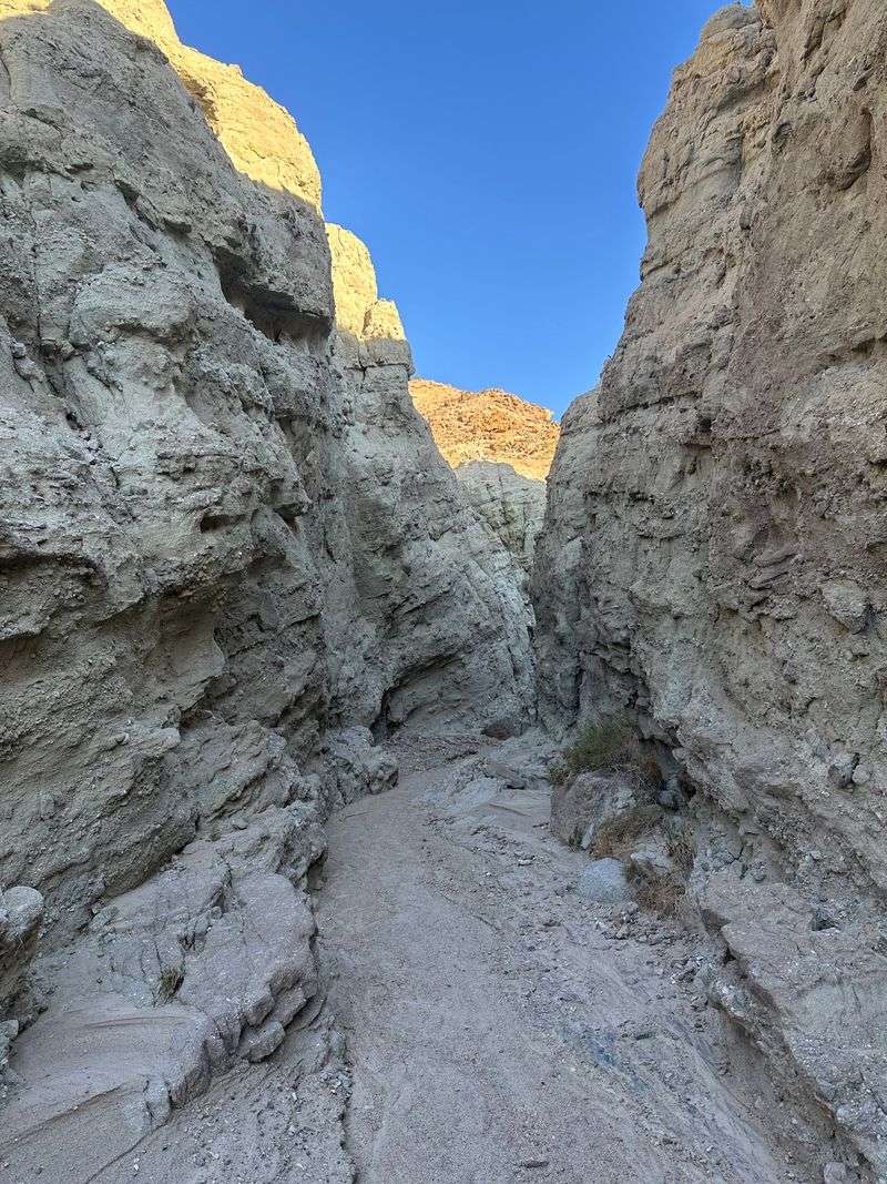 Climate, outdoor living, and seasonal comfort