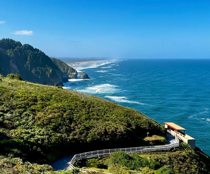 Wildlife beyond sea lions: birds and whales