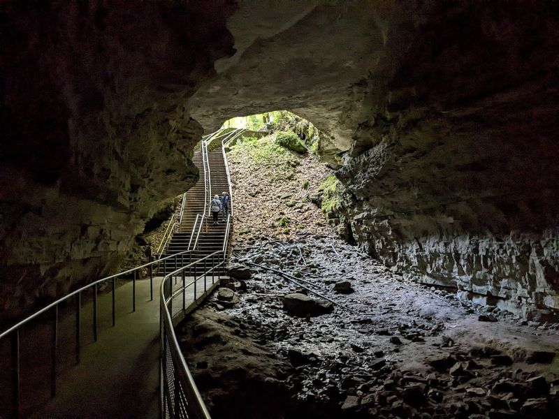 Essential Visitor Info