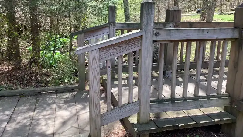Scenic Boardwalk