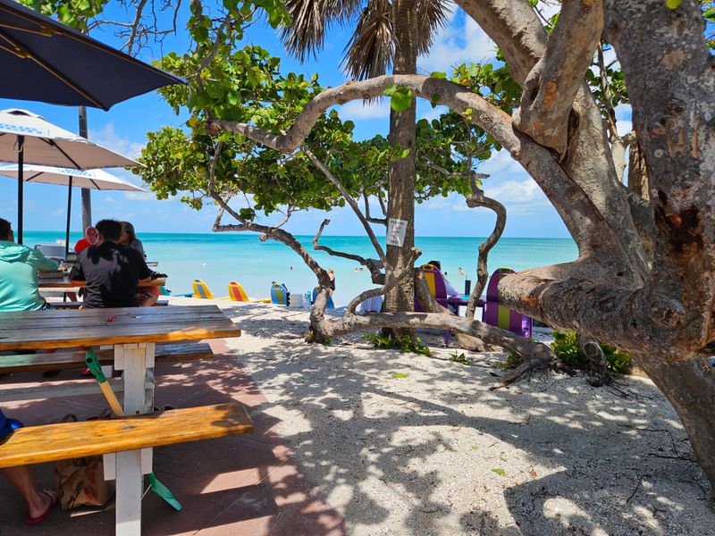 Casual Waterfront Dining