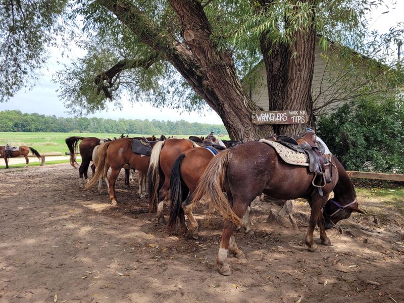 Community and Camaraderie