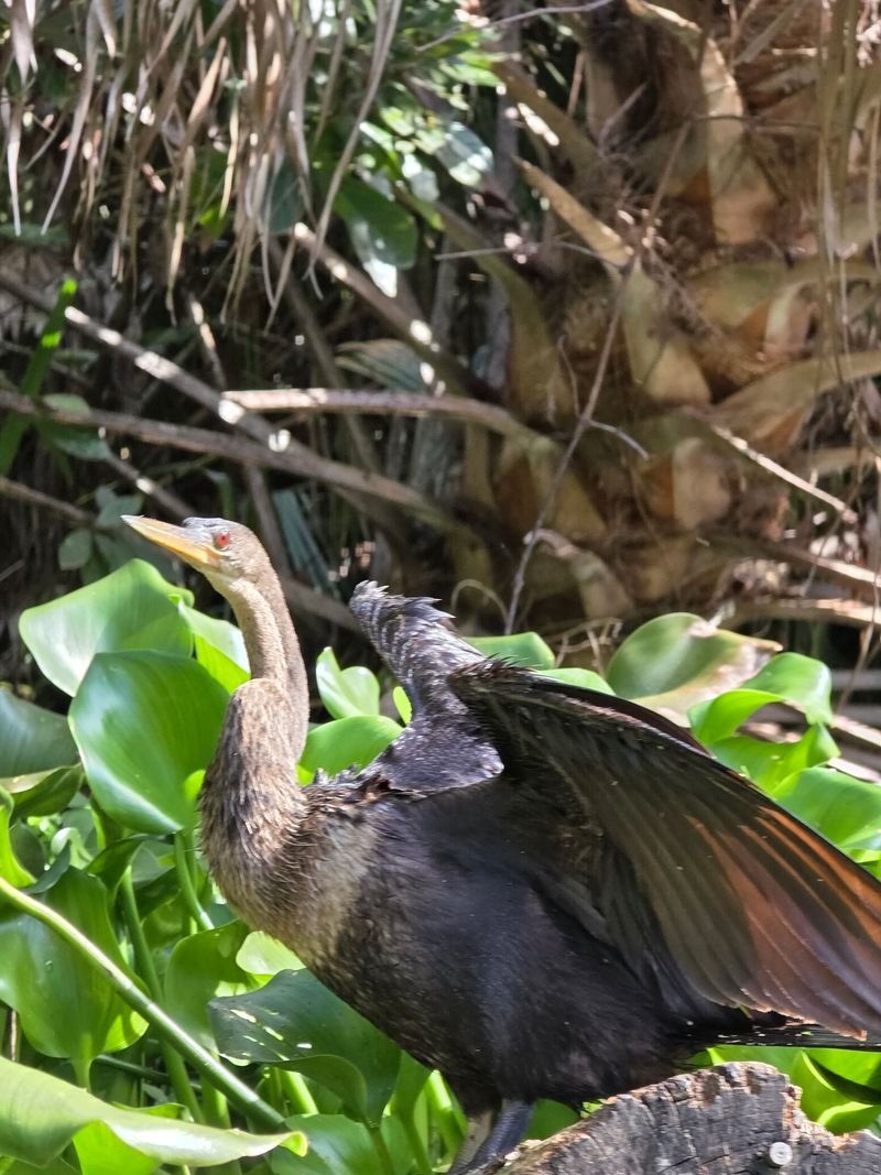 Photography Opportunities