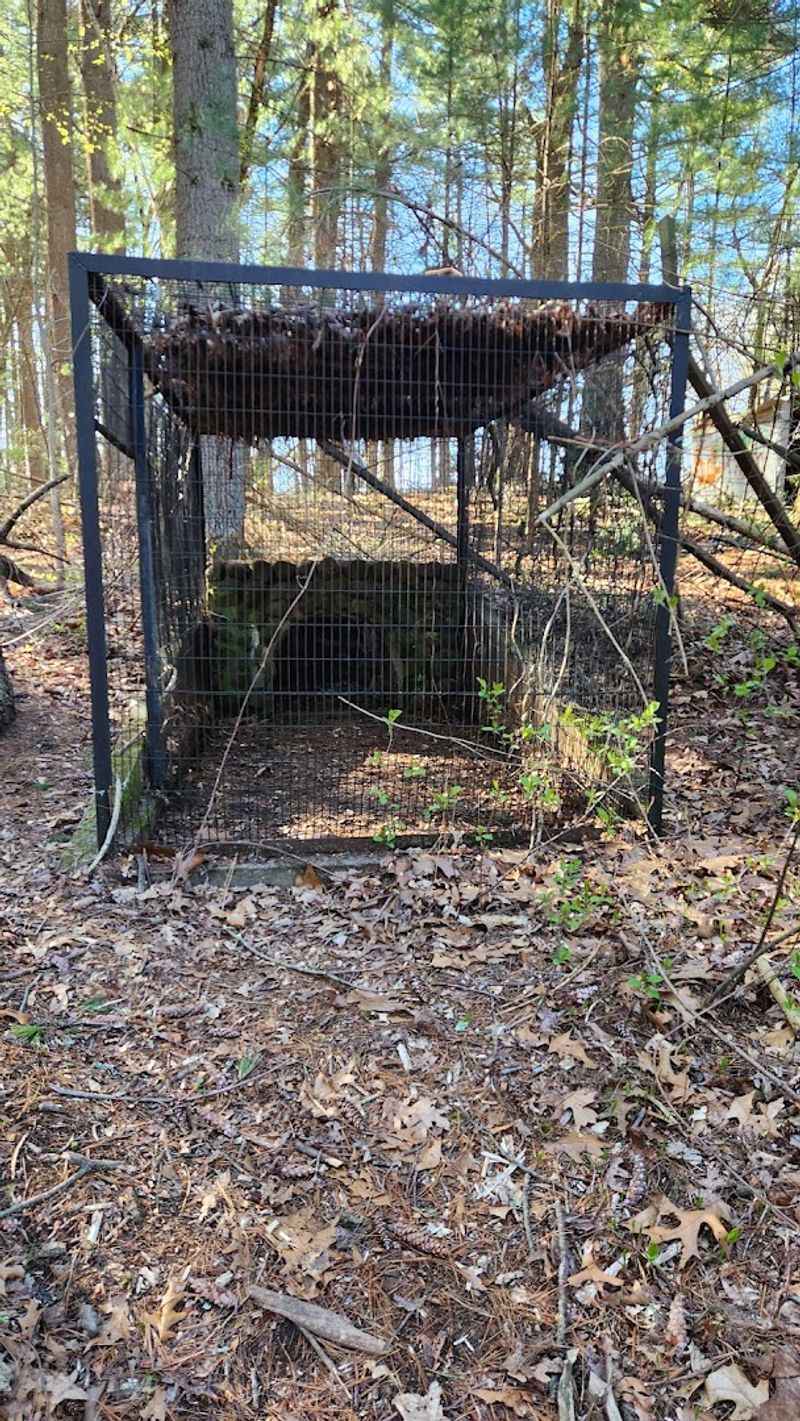 Shade Swamp Sanctuary (Old Depression-Era Zoo) &mdash; Farmington, CT