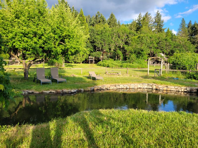 Swimming Pool, Pond, and Play Zones for Kids