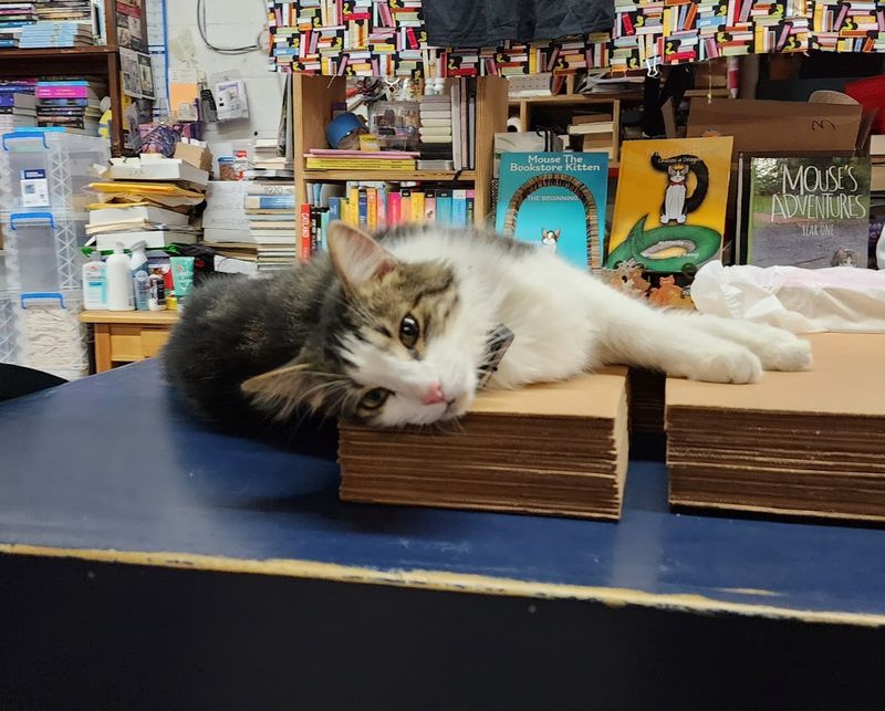 Staff Kindness: Local Expertise You Can Feel