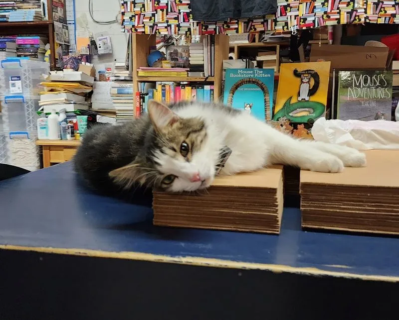 Staff Kindness: Local Expertise You Can Feel