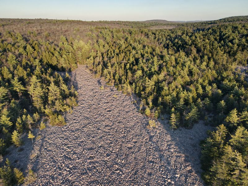 Why Nothing Grows And Wildlife Avoids The Center