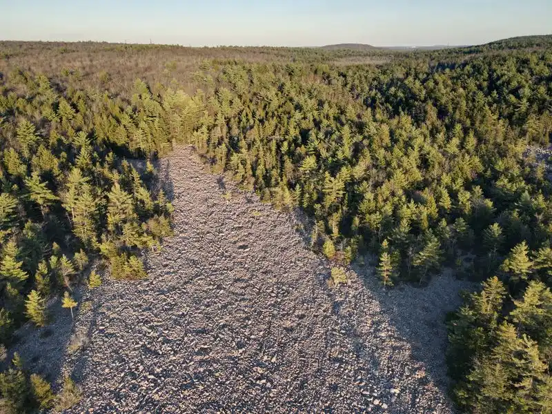 Why Nothing Grows And Wildlife Avoids The Center