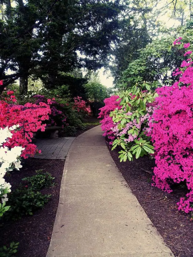 Best seasons and bloom calendar