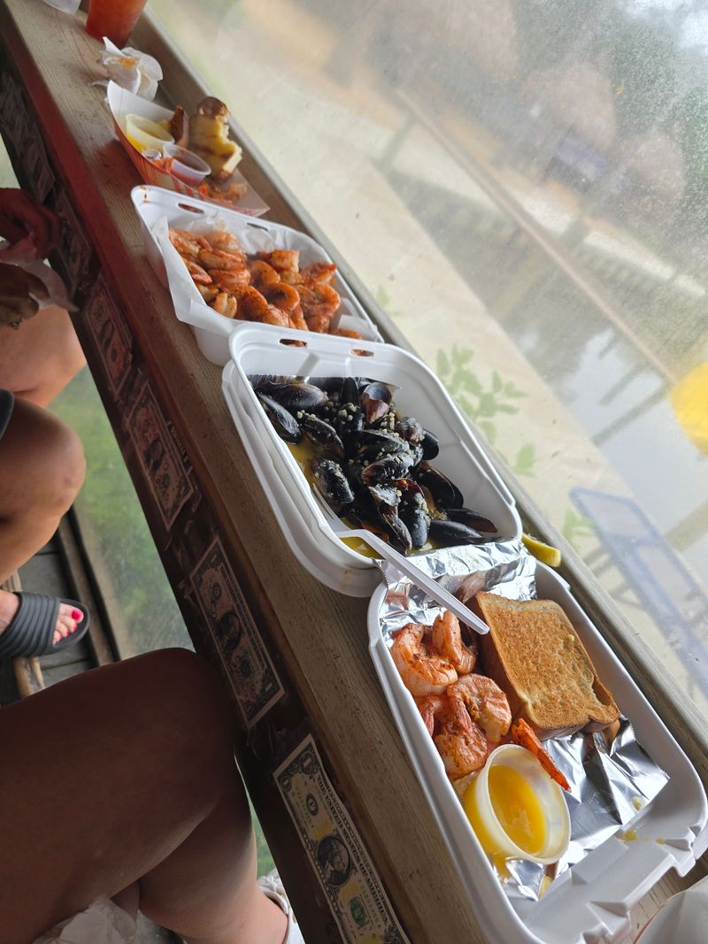 When to go and what to expect